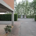 Rosa *